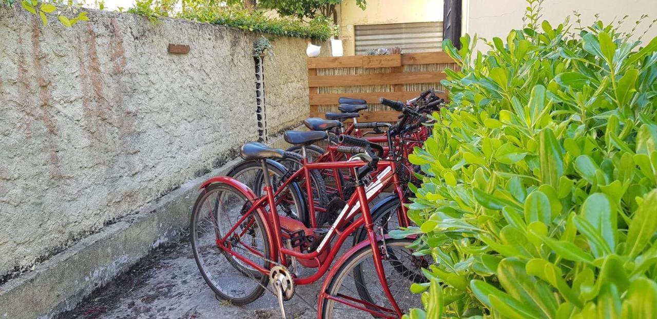 Villa Noemi Bed&Breakfast Pisa Bagian luar foto