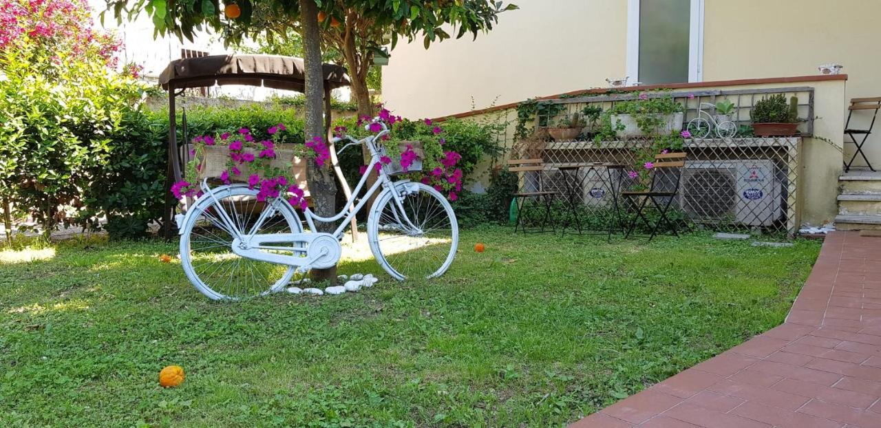 Villa Noemi Bed&Breakfast Pisa Bagian luar foto
